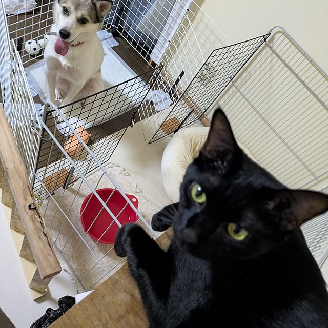 asaさんの部屋