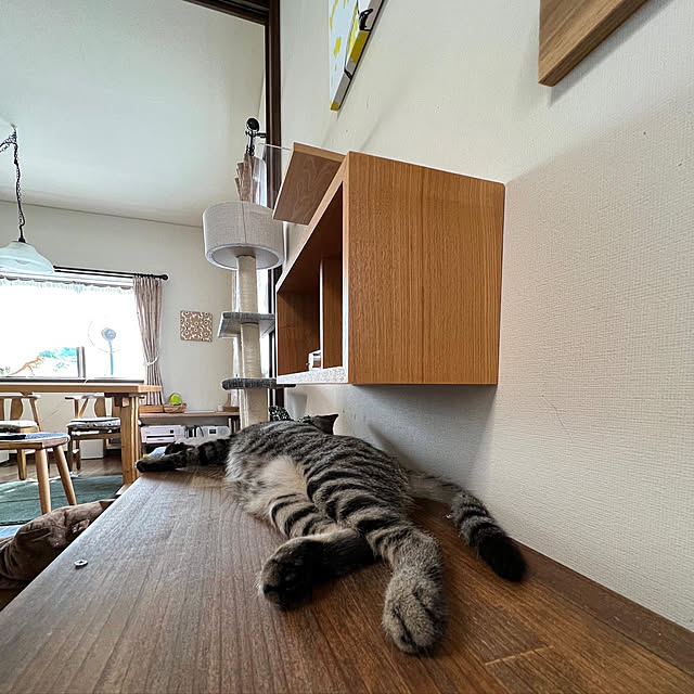 kuzumeganeさんの実例写真