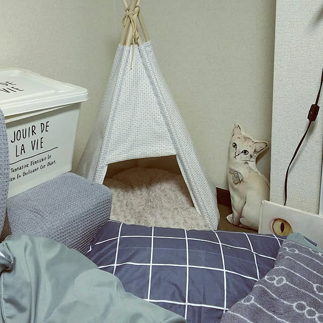 lotusさんの実例写真