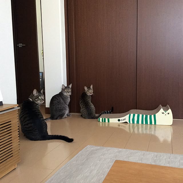 kimihadukiさんの実例写真