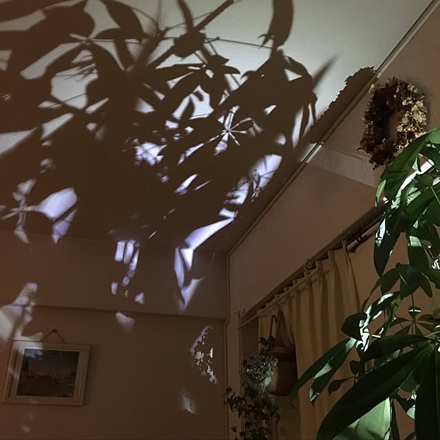 Shizuaさんの実例写真
