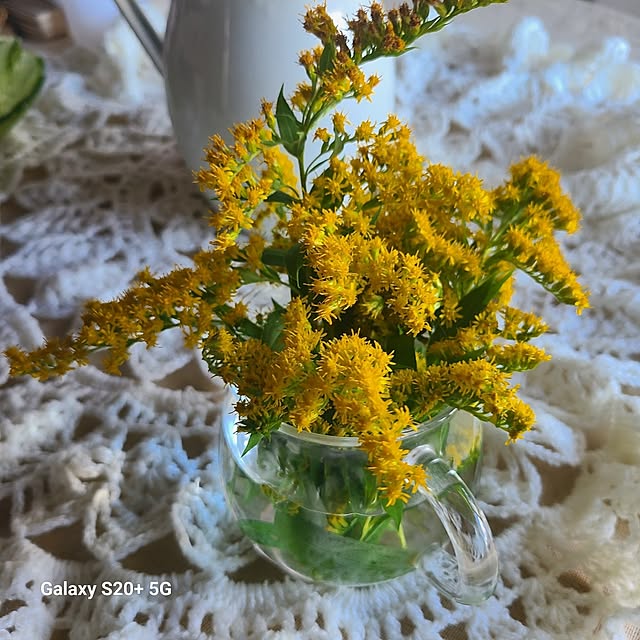 monnさんの部屋