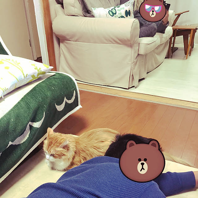uchidaizuさんの実例写真