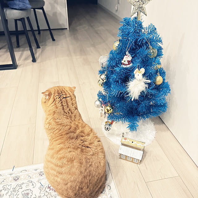 mami-さんの部屋