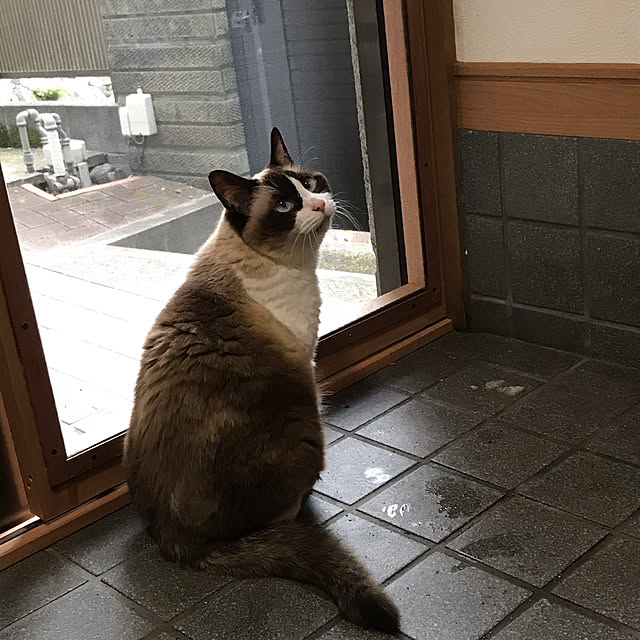 Nezuさんの実例写真