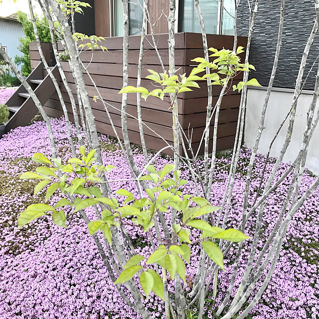 hm_myhomeさんの実例写真