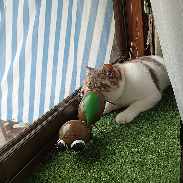 fukuさんの実例写真