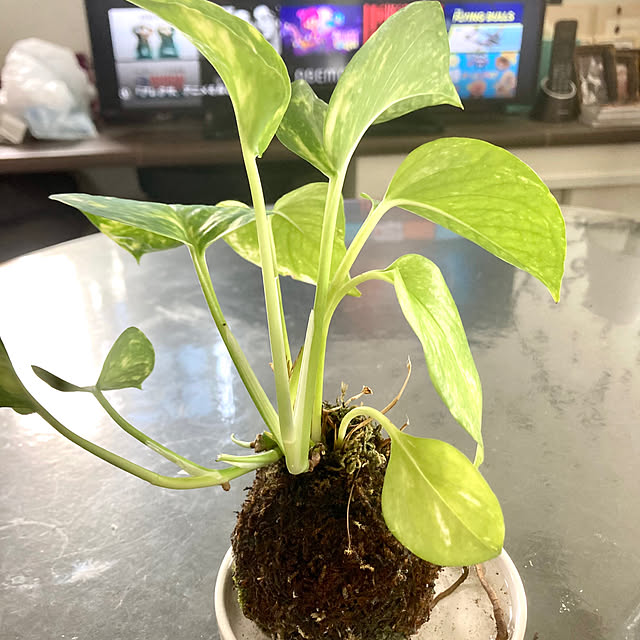 MOMOMAMAさんの部屋