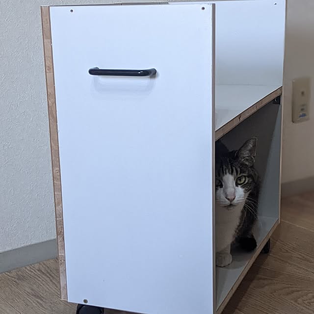 ichi.さんの部屋