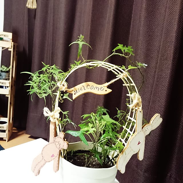piitanさんの実例写真