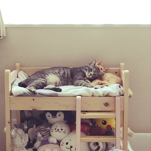 Pisaさんの実例写真