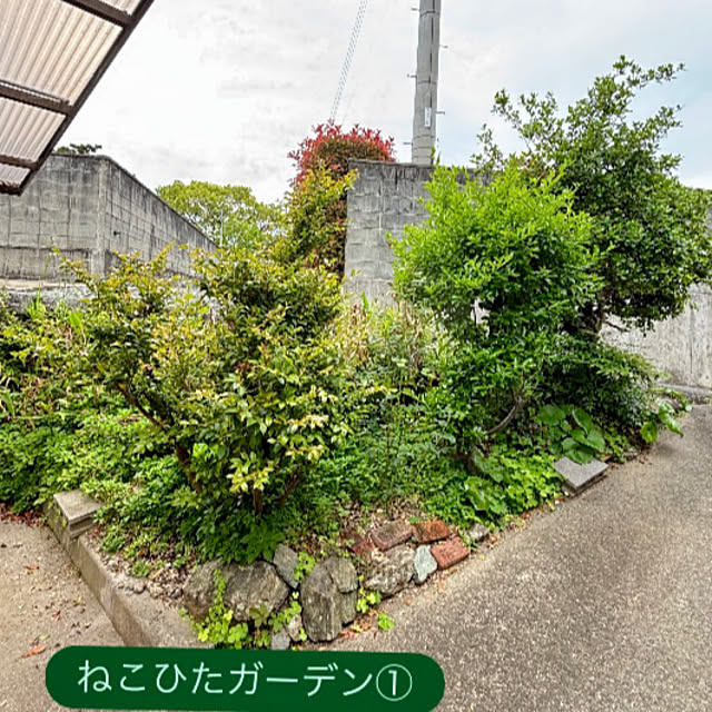 SIELUさんの実例写真