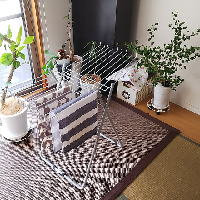 n0516さんの実例写真