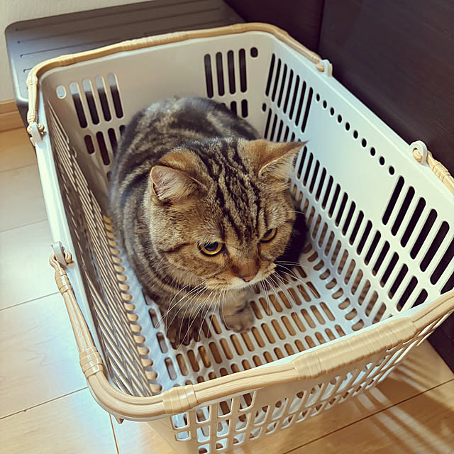 chiiさんの部屋
