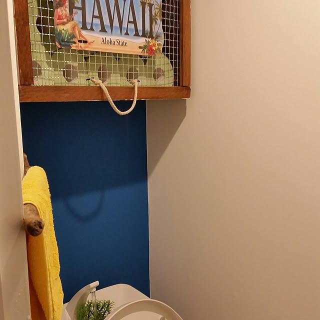 kochiouraneriさんの実例写真