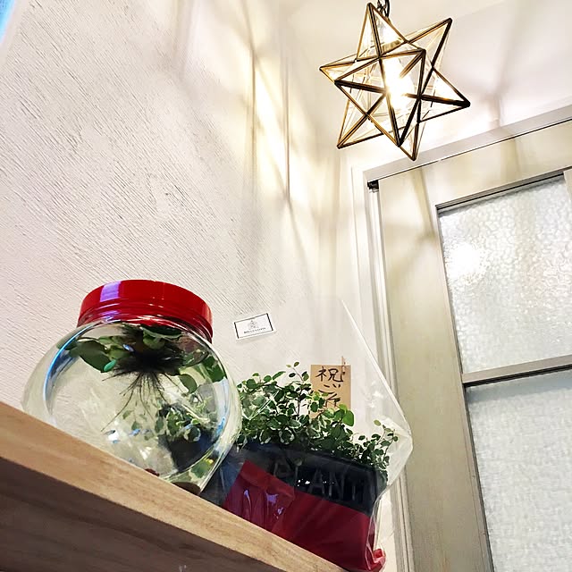 kolokoppaさんの実例写真