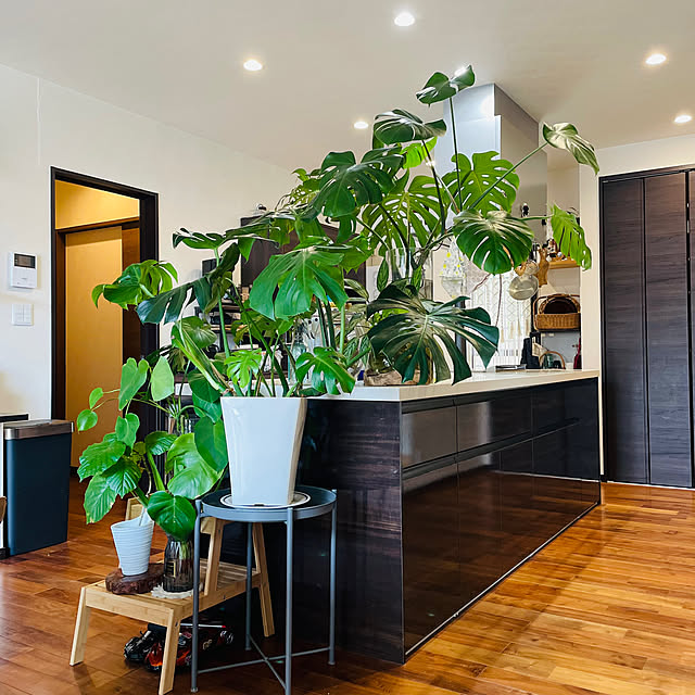 HinaCheiMamさんの実例写真