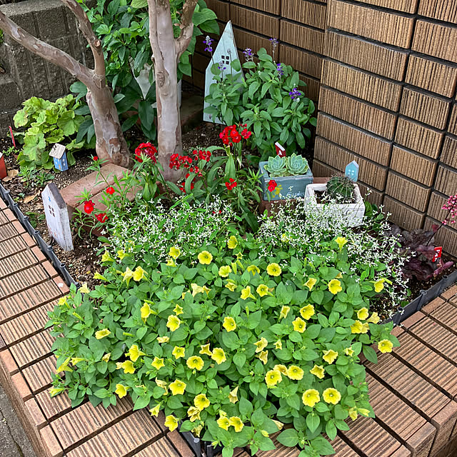 maron915さんの実例写真