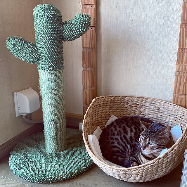 yumuyumuさんの実例写真