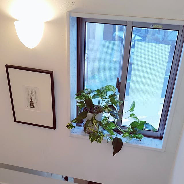 MOMOMAMAさんの実例写真