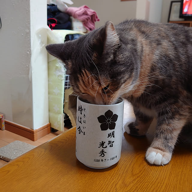 shinobuさんの実例写真