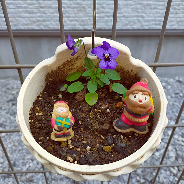 chiiさんの実例写真