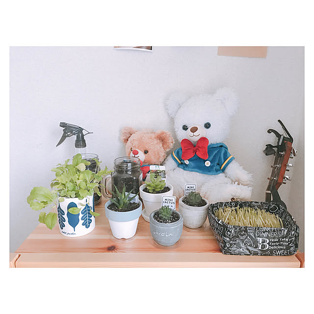 daihukumoti000さんの実例写真