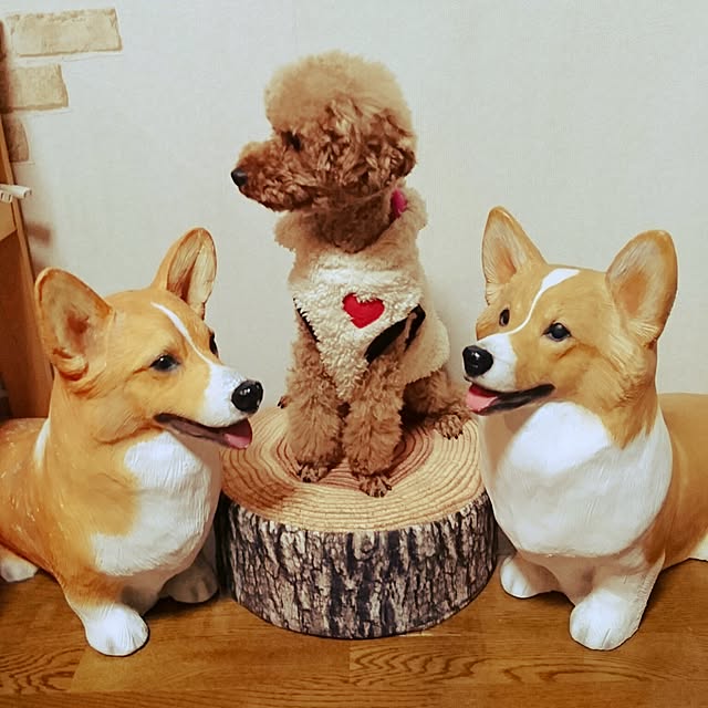 MARONさんの実例写真