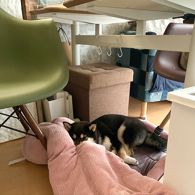 mo-nosukeさんの実例写真
