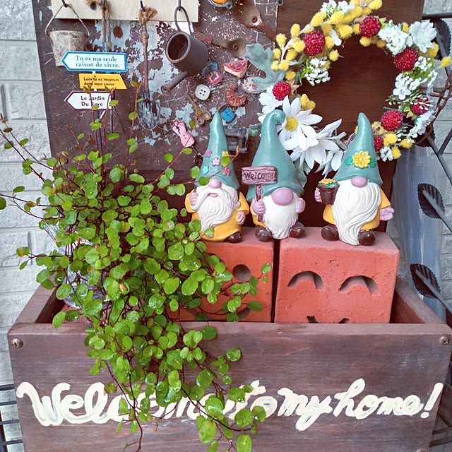 mocomocoさんの部屋