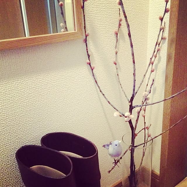 satomuさんの実例写真