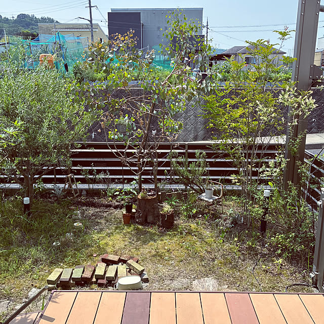 ayayayayaさんの実例写真