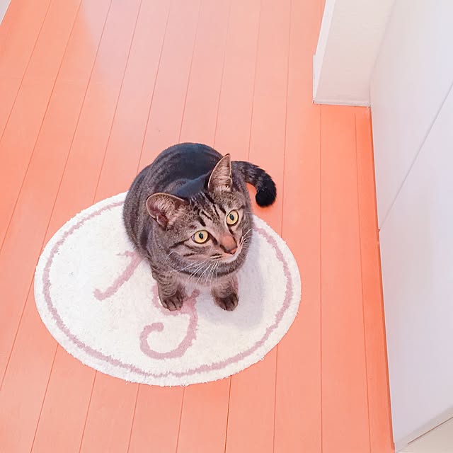 nyan.73さんの実例写真