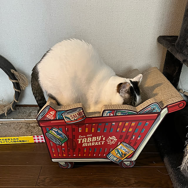 chi_gogaさんの実例写真