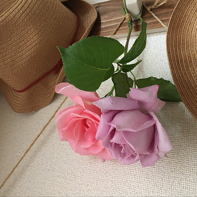 何薔薇かわからん/ナチュラルが好き/こどもと暮らす。/建売を自分好みに♡/いいねと、フォローの押し逃げすみません！...などのインテリア実例 - 2020-05-16 16:56:54