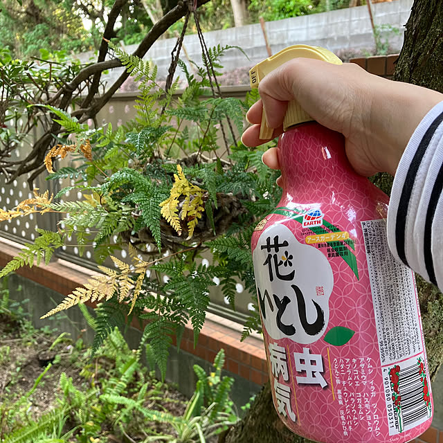 lalaさんの部屋