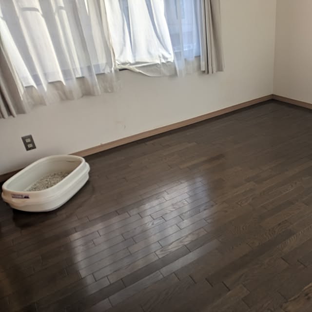 asaさんの部屋