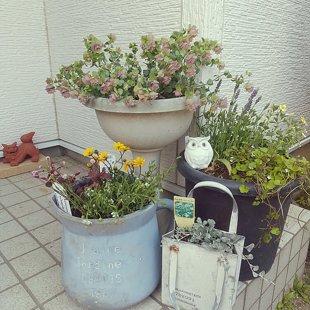 sachiさんの実例写真