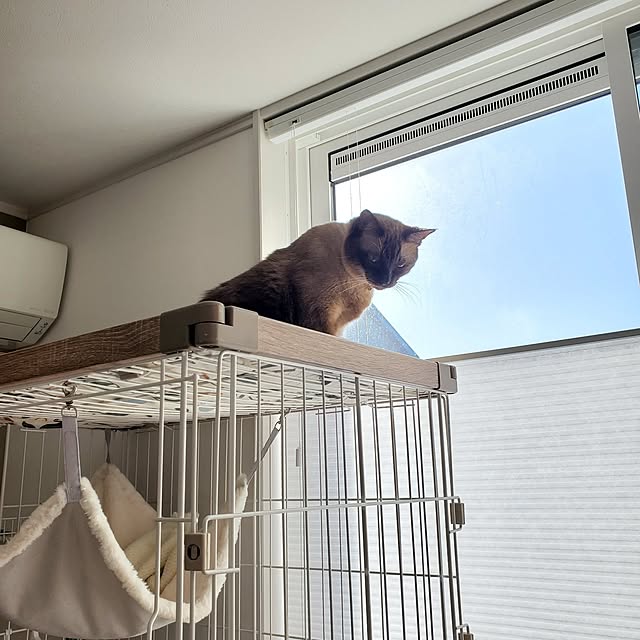 maomaoさんの実例写真