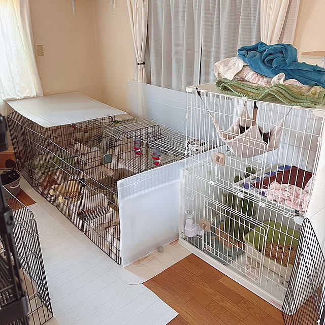 prelumoさんの部屋