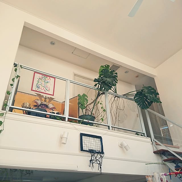 urchinさんの部屋