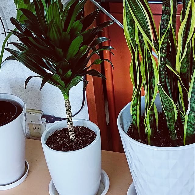 hanachanさんの部屋