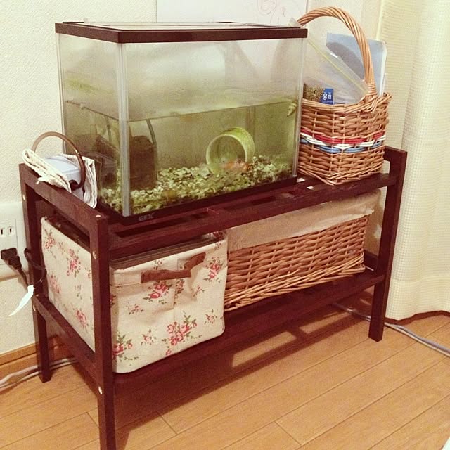 棚のインテリア実例 - 2013-01-31 23:03:08