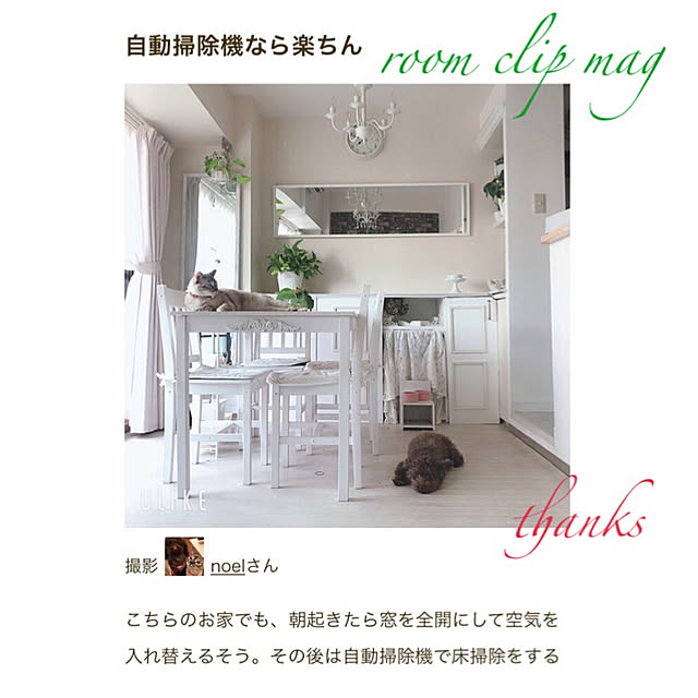 noelさんの実例写真