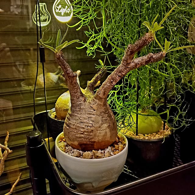 chandong777さんの部屋