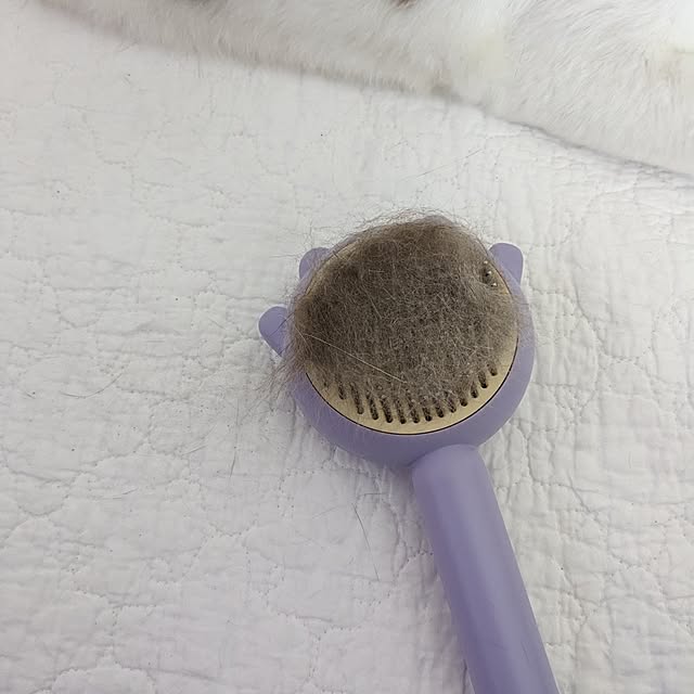 machikomamaさんの部屋