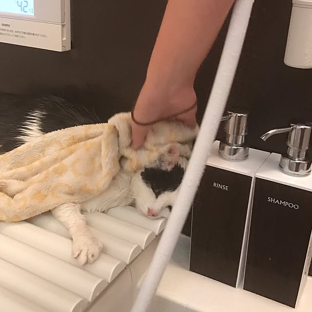 バス/トイレ/モノトーン/猫のインテリア実例 - 2017-04-04 21:33:35
