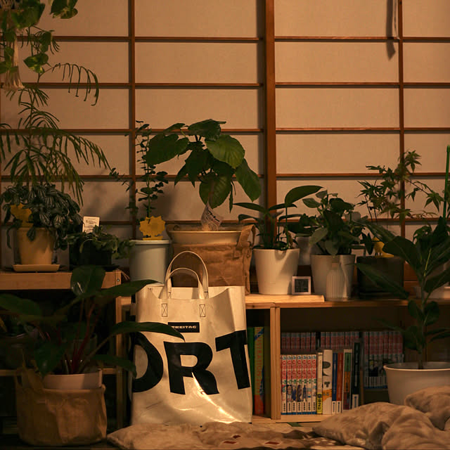 dhy2Riさんの実例写真