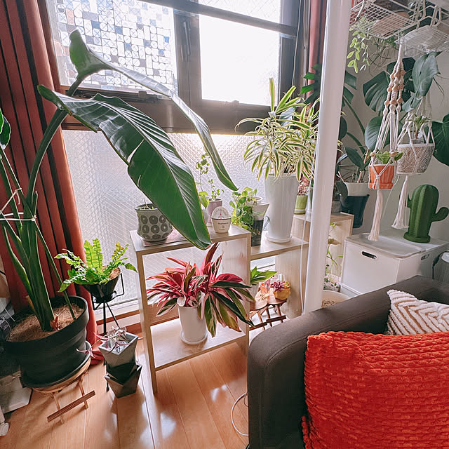 Rocket-Benkeiさんの実例写真