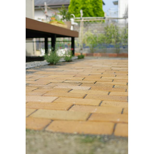 Shooowkoさんの実例写真